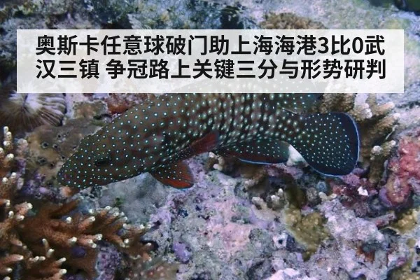 奥斯卡任意球破门助上海海港3比0武汉三镇 争冠路上关键三分与形势研判 | jiuyou