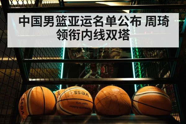 Wang Zhelin basketball